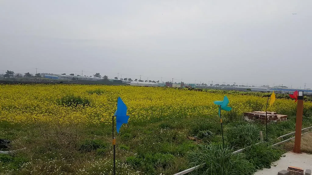 Jeju Sky And Sea Pension 0*,  Corea del Sud